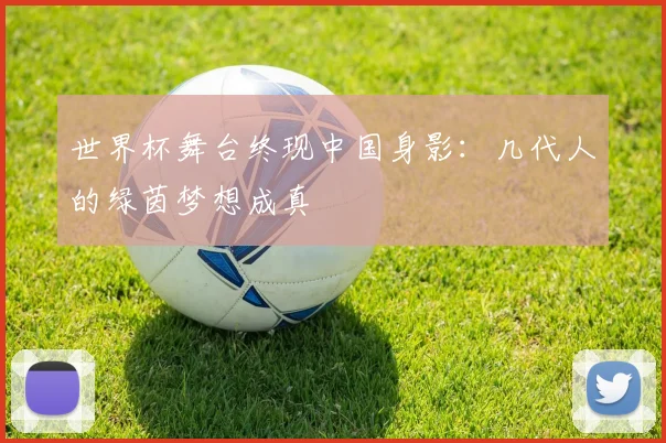 世界杯舞台终现中国身影:几代人的绿茵梦想成真