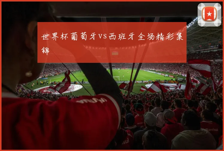 世界杯葡萄牙vs西班牙全场精彩集锦