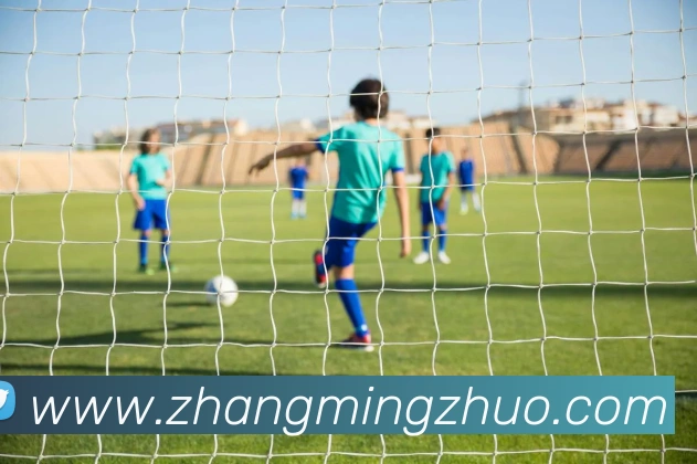 世界杯官方网络平台发展历程